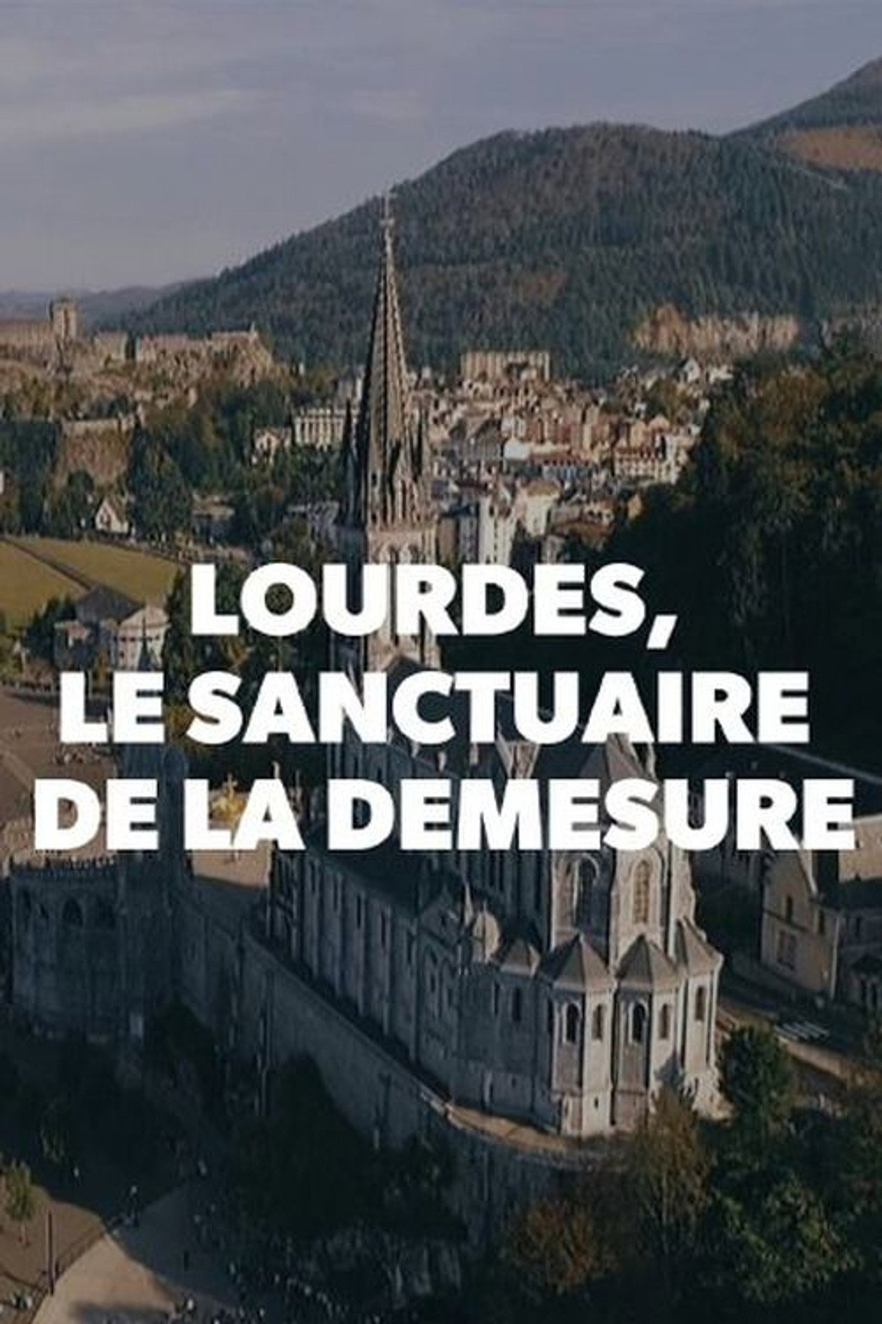 Lourdes, le sanctuaire de la démesure filmaffisch