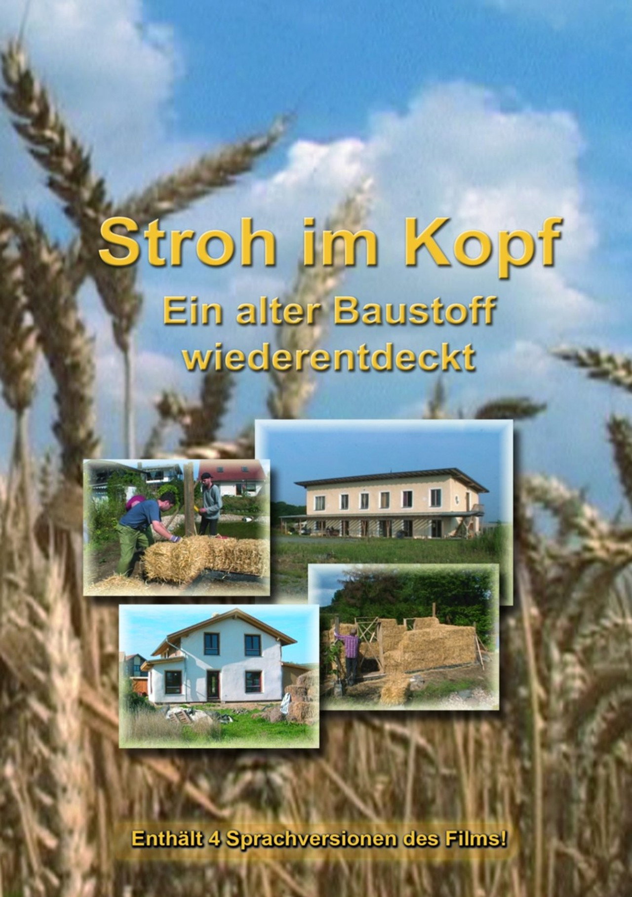 Stroh im Kopf poster