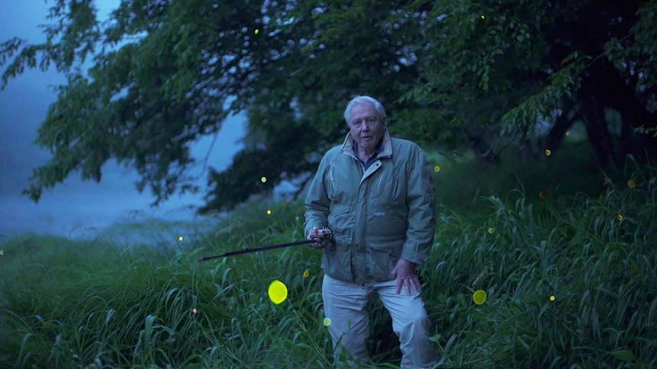 Scen från Attenborough's Life That Glows