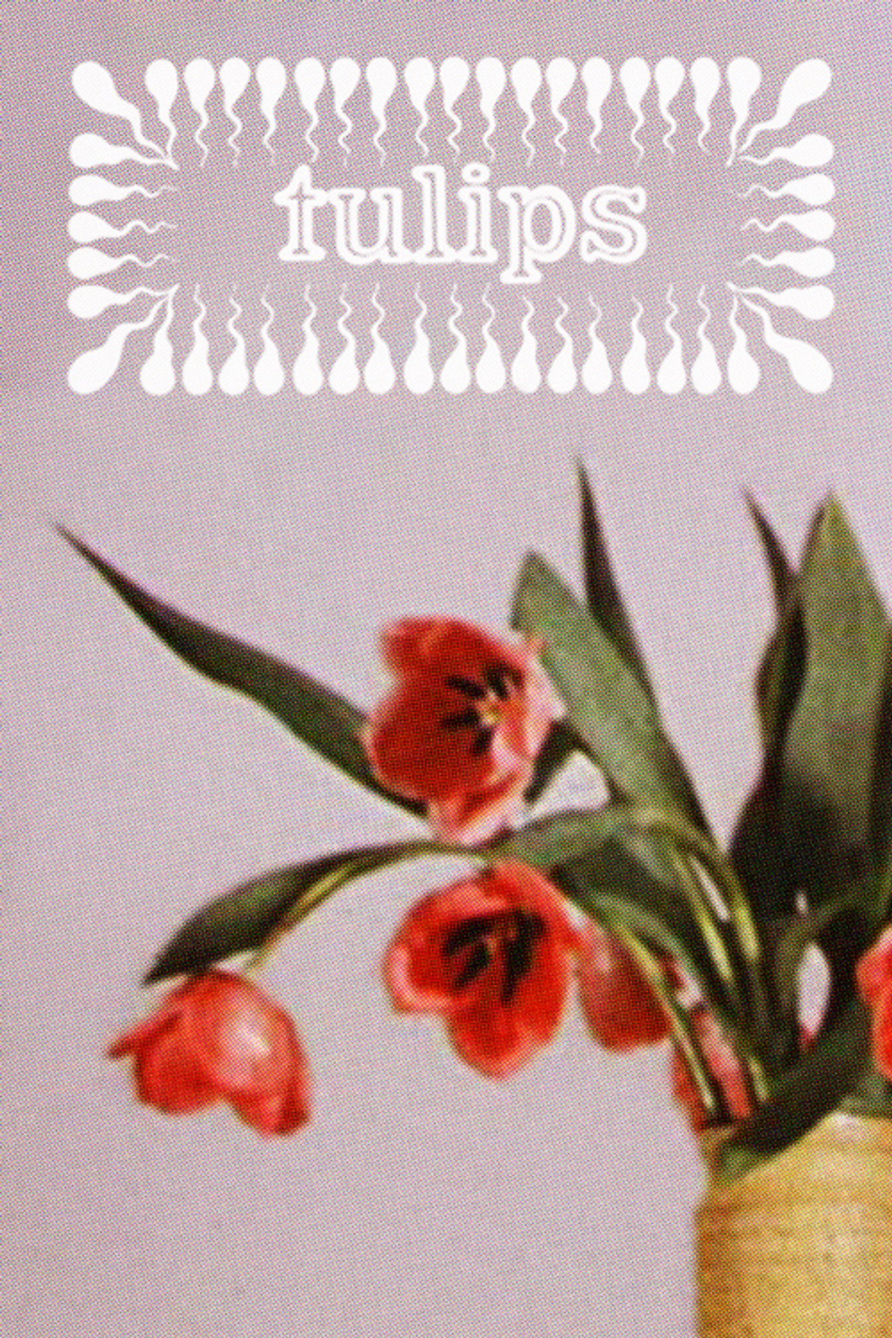 Tulips filmaffisch