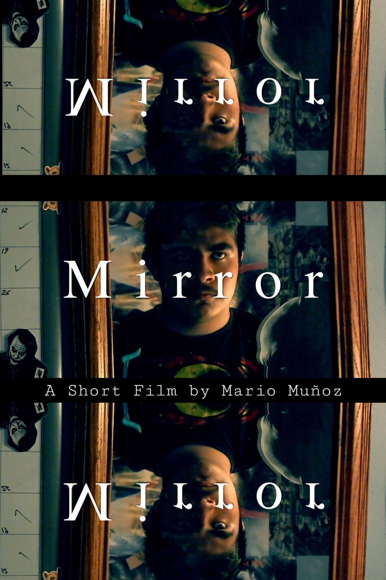 Mirror filmaffisch