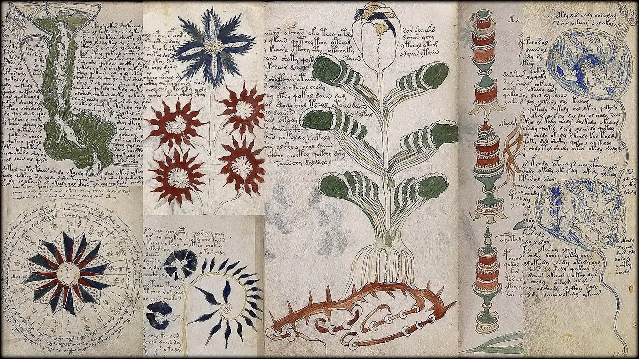 The Voynich Code: The World's Most Mysterious Manuscript background