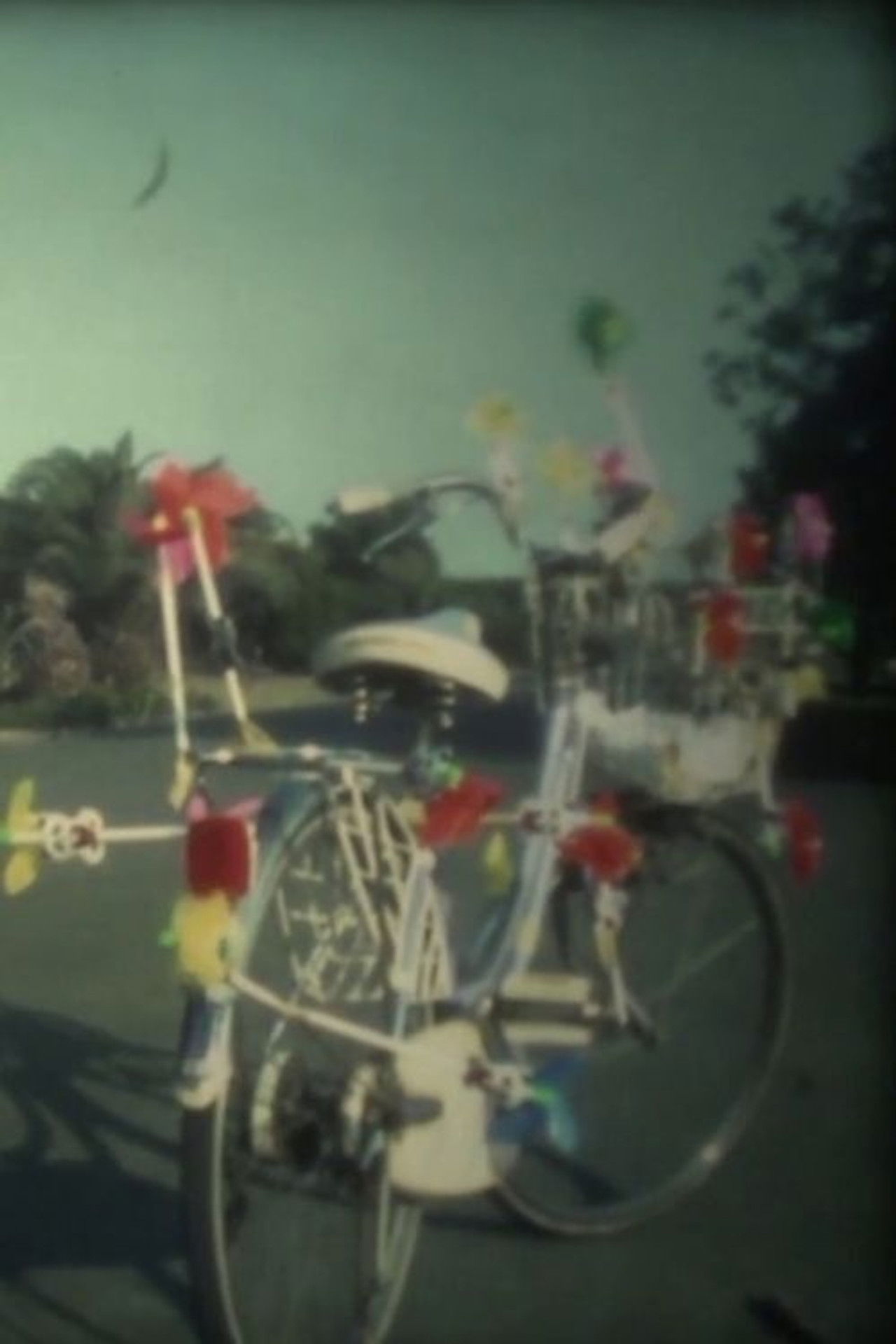 Raigyo: Swan Backdrop