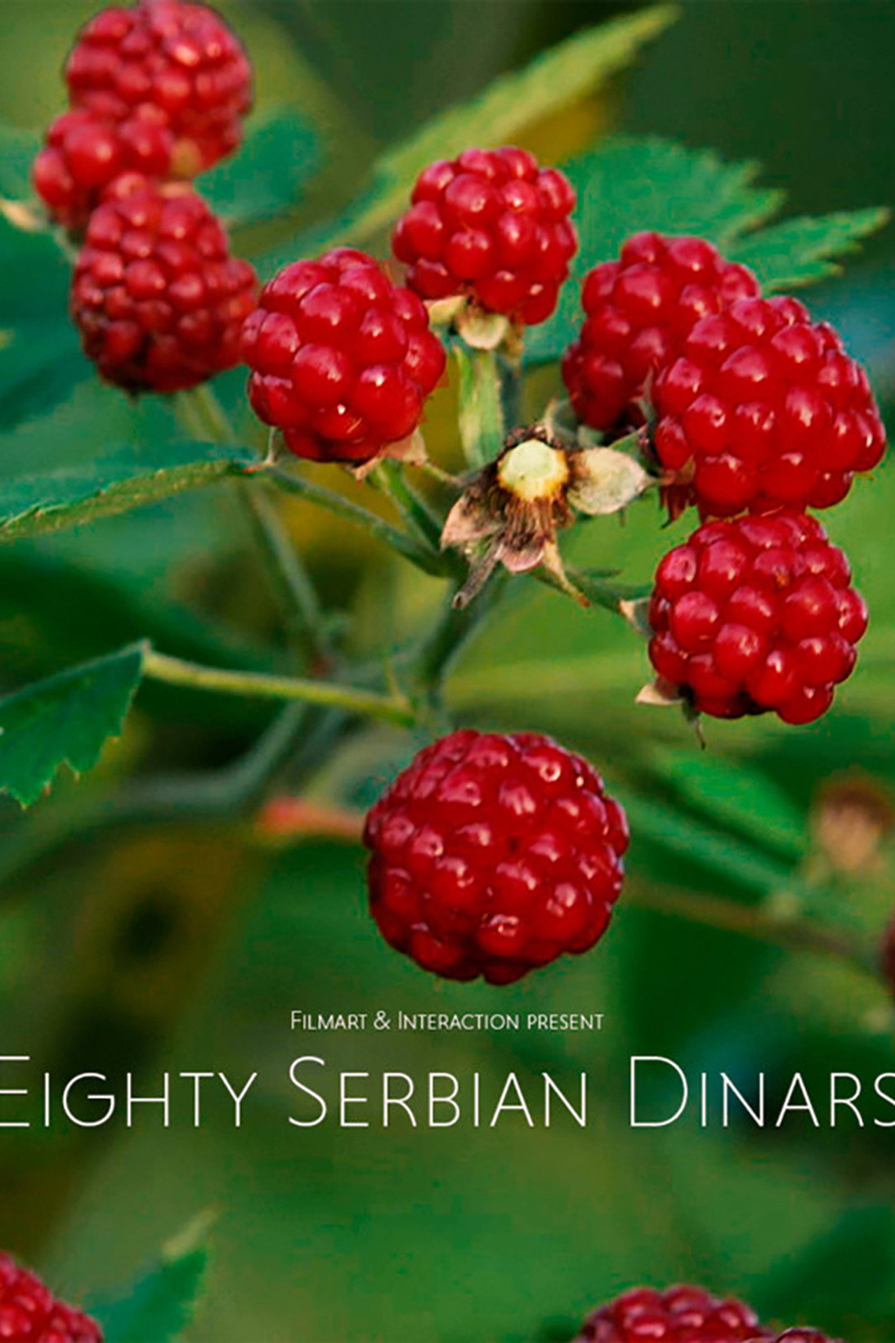 Eighty Serbian Dinars