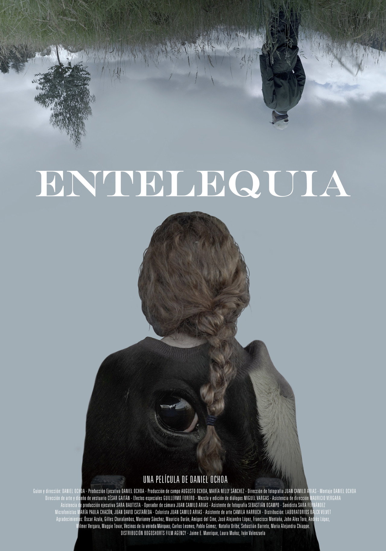 Entelequia filmaffisch