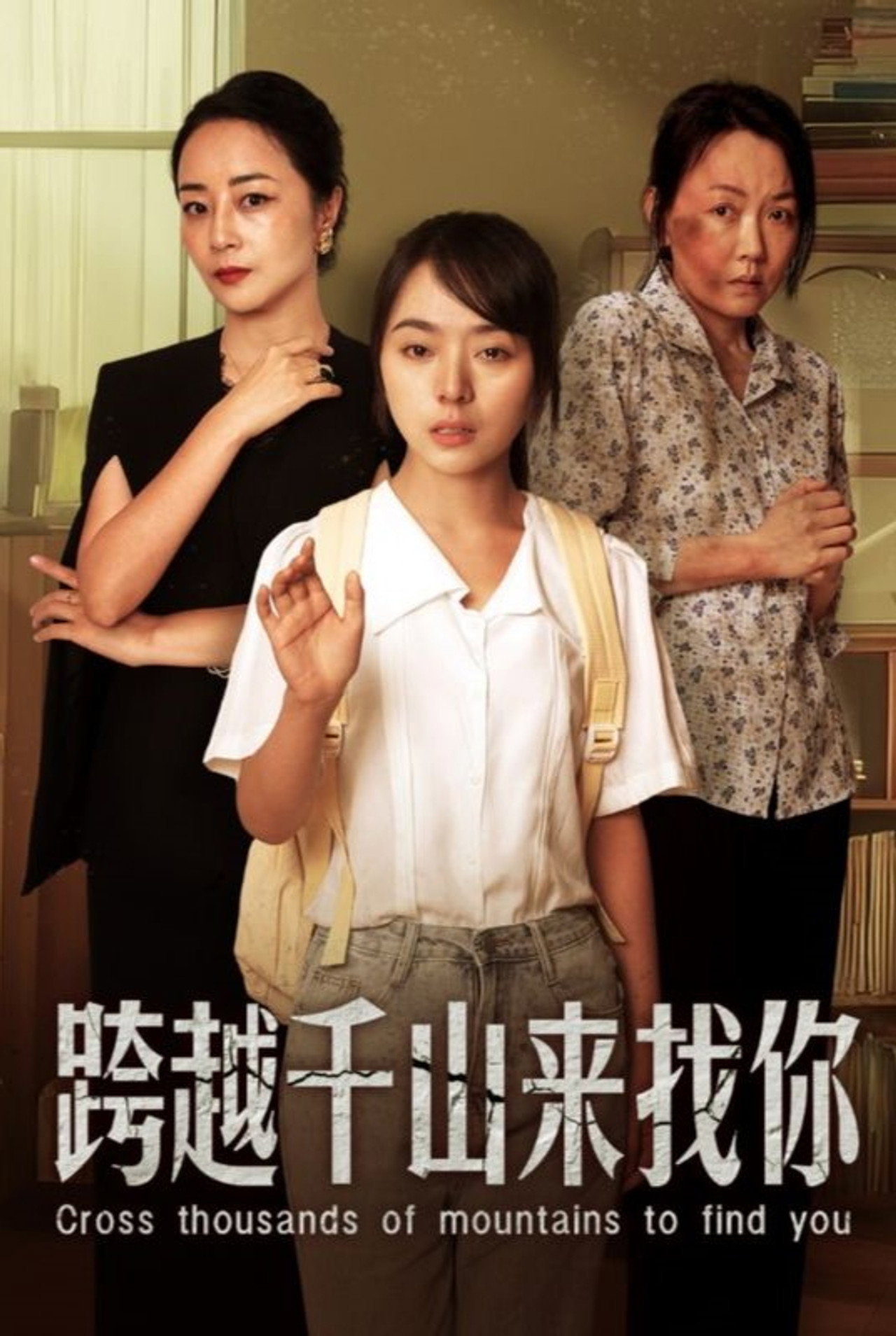 跨越千山来找你 封面海报