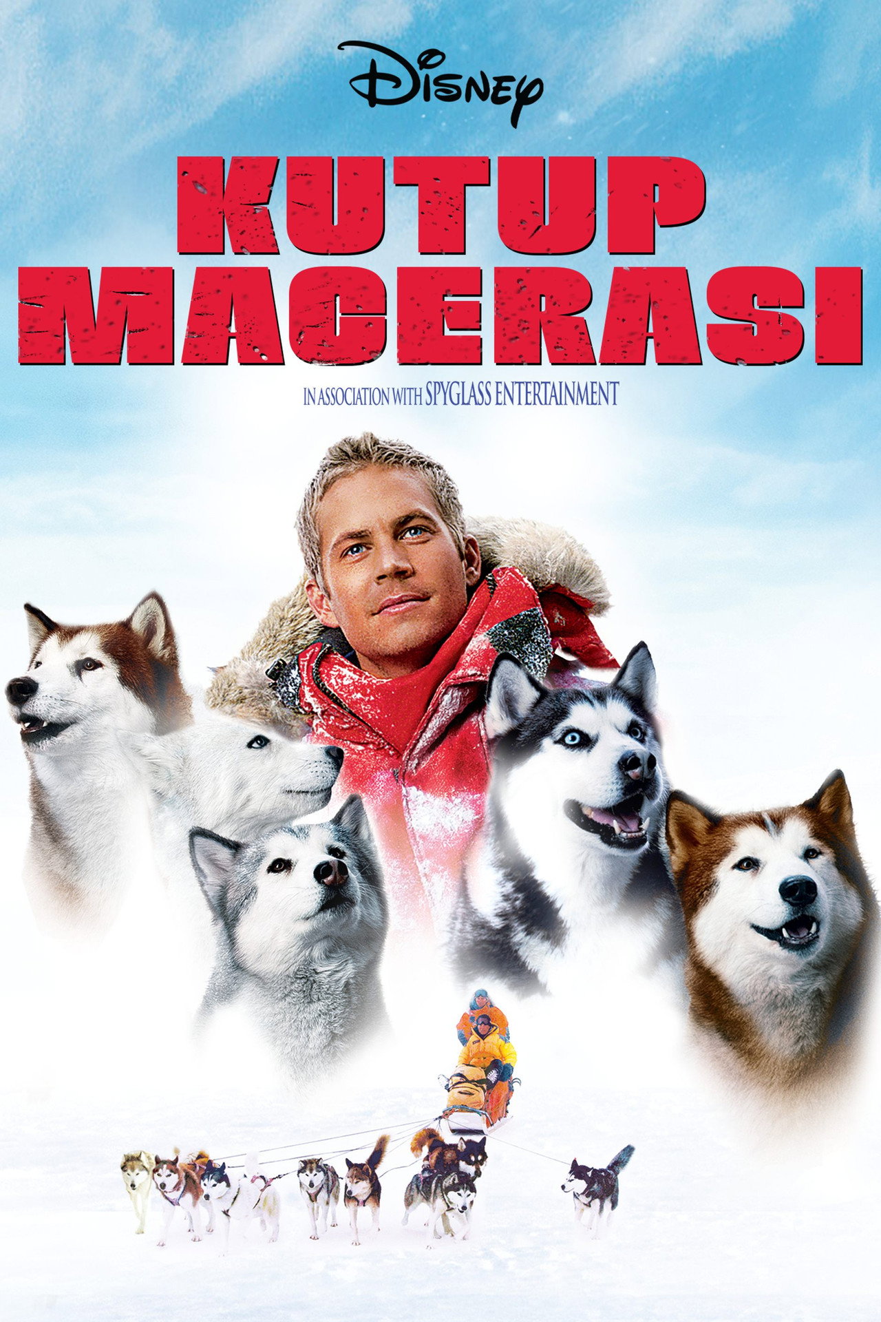 Kutup Macerası Poster