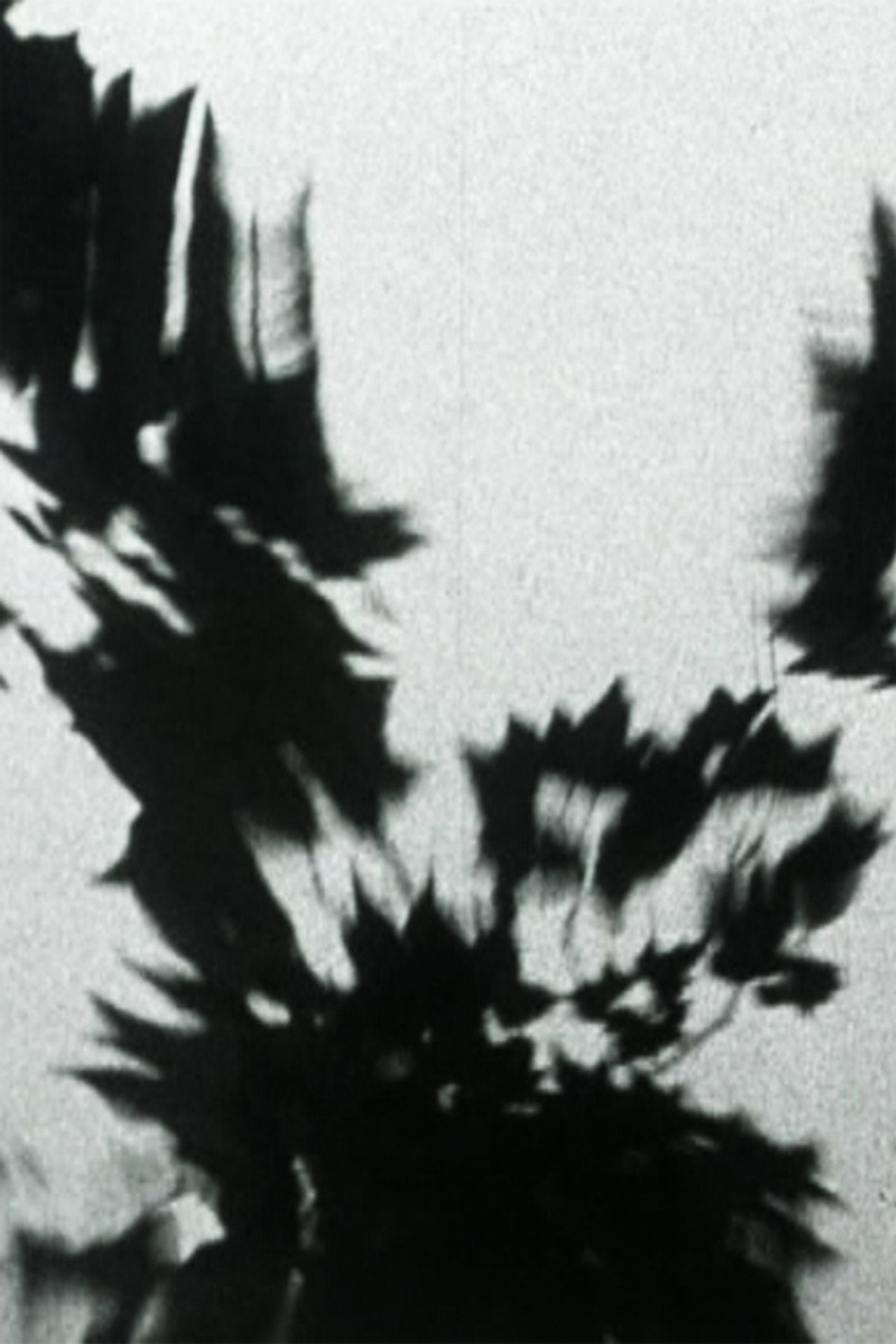 Sheller Shares Her Secret filmaffisch