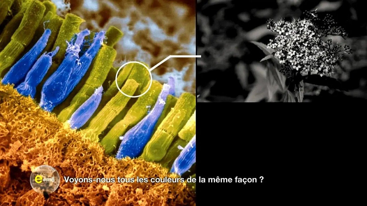 E=M6 - Season 33 Episode 1 : Episode 1