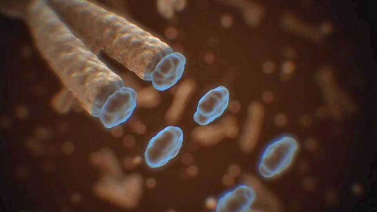 Leschs Kosmos — Épisode 2