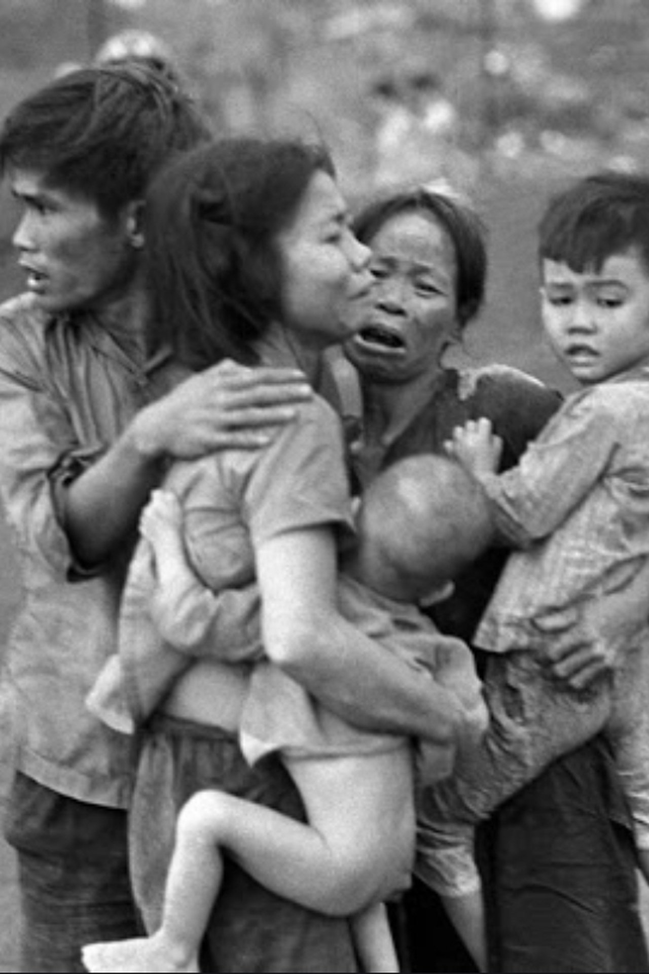 The Harvest of My Lai The Harvest of My Lai