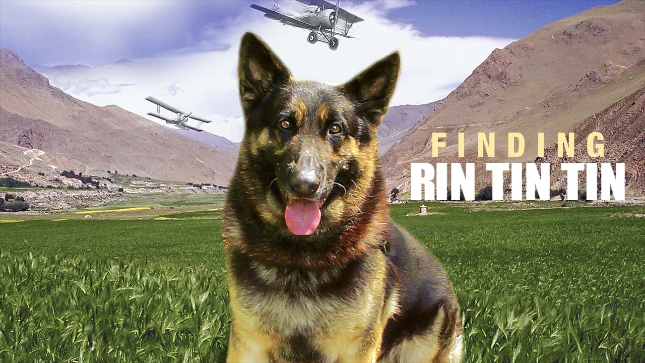 Finding Rin Tin Tin background