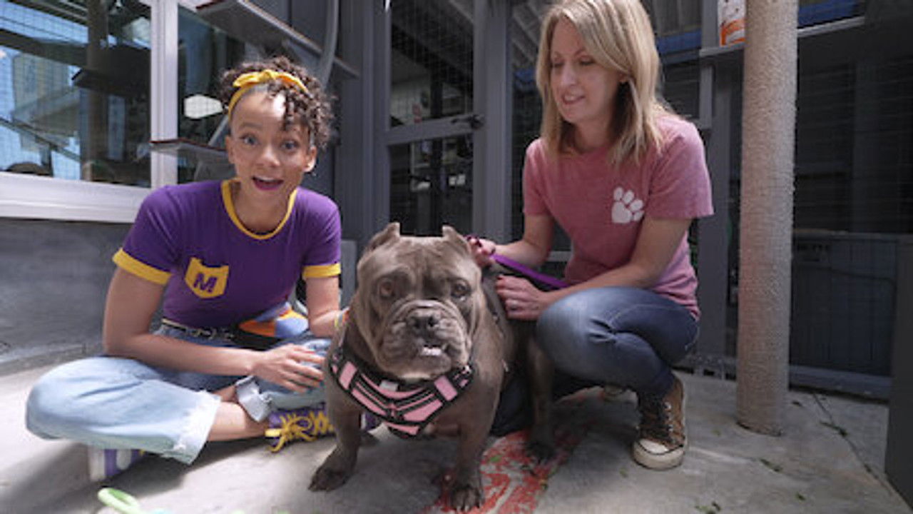 Meekah — Épisode 10