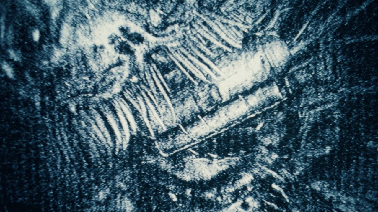 scenes 23