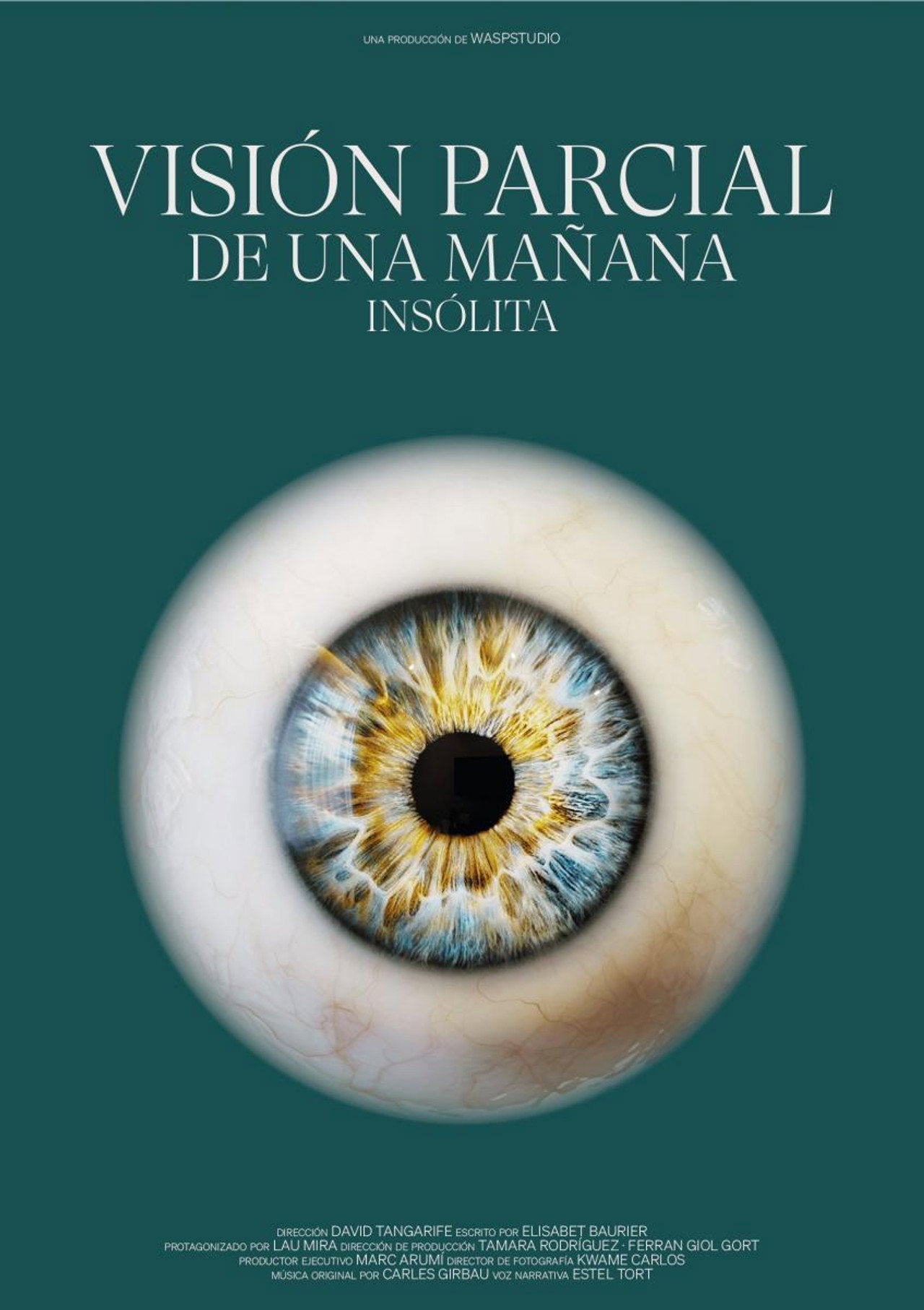 Visión Parcial de una Mañana Insólita