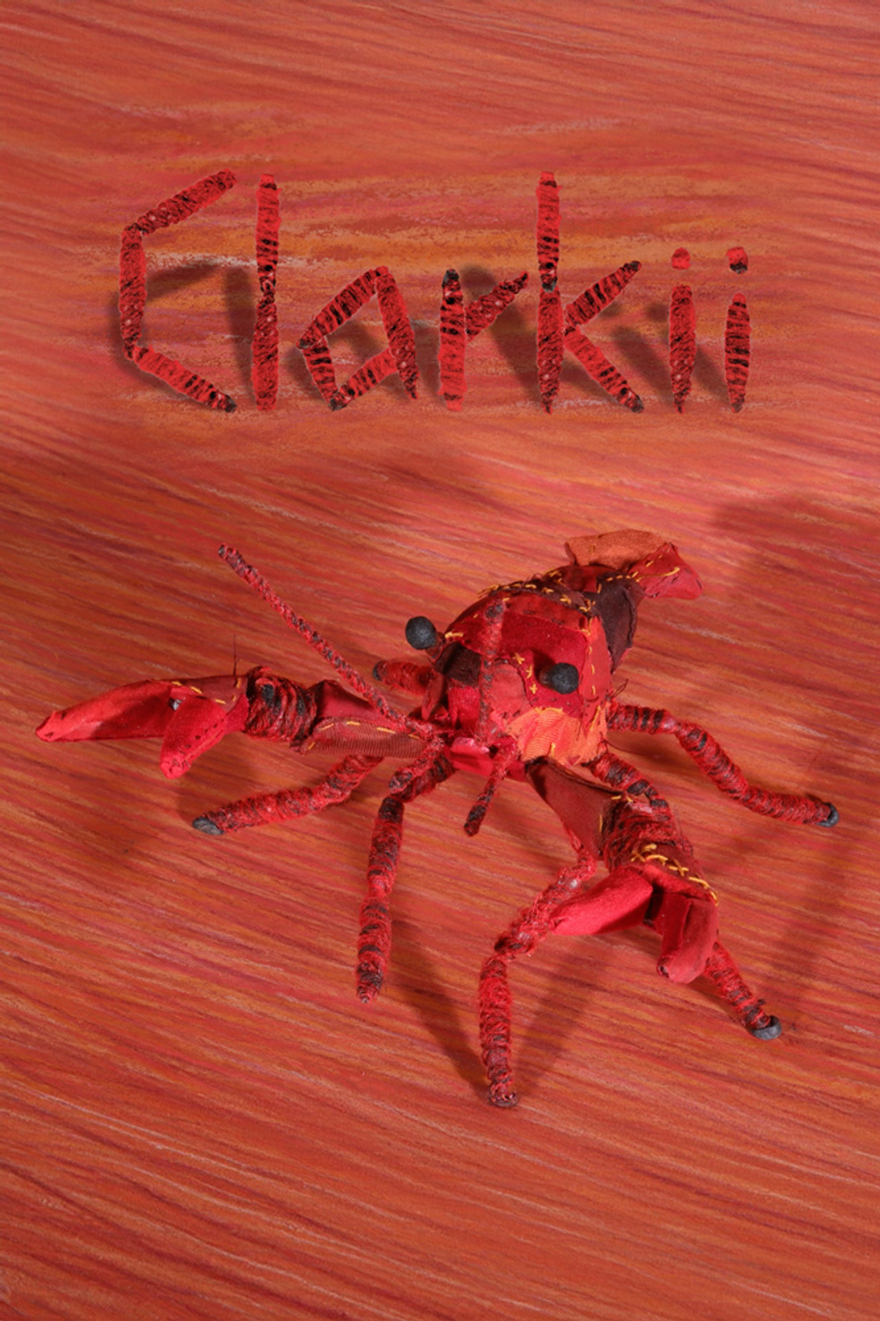Clarkii poster
