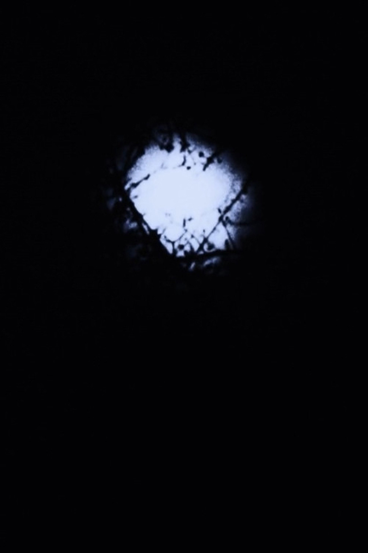 Night Awakening filmaffisch