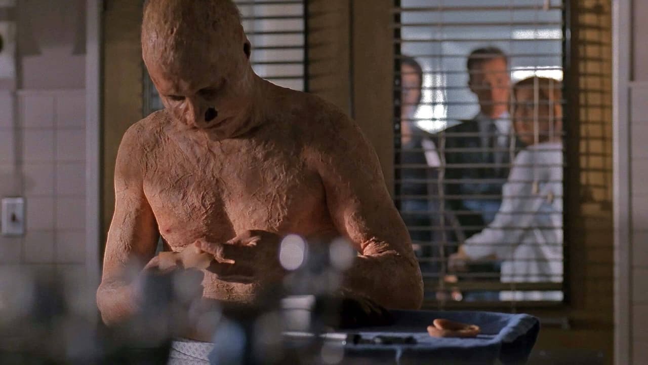 The X-Files - Season 9 Episode 16 : William