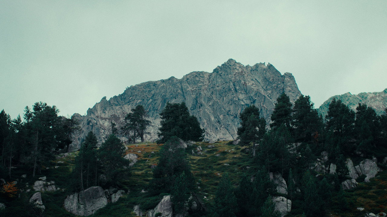 Sempre, sempre backdrop