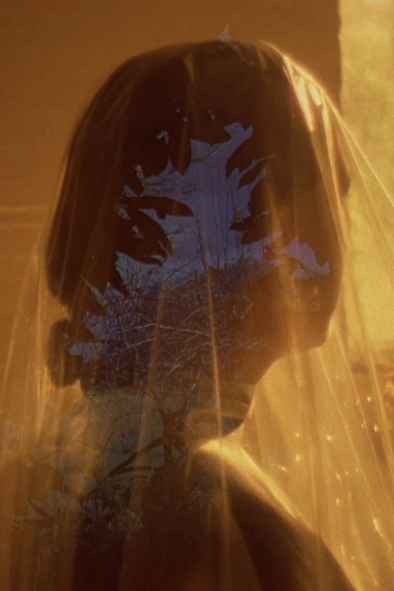 a hook but no fish Backdrop