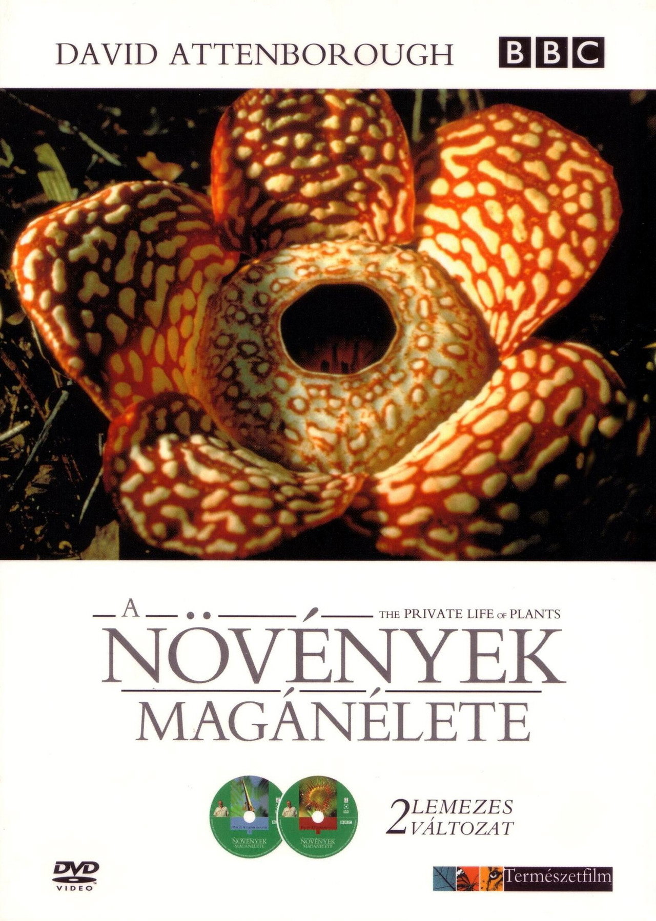 A növények magánélete – plakát 5