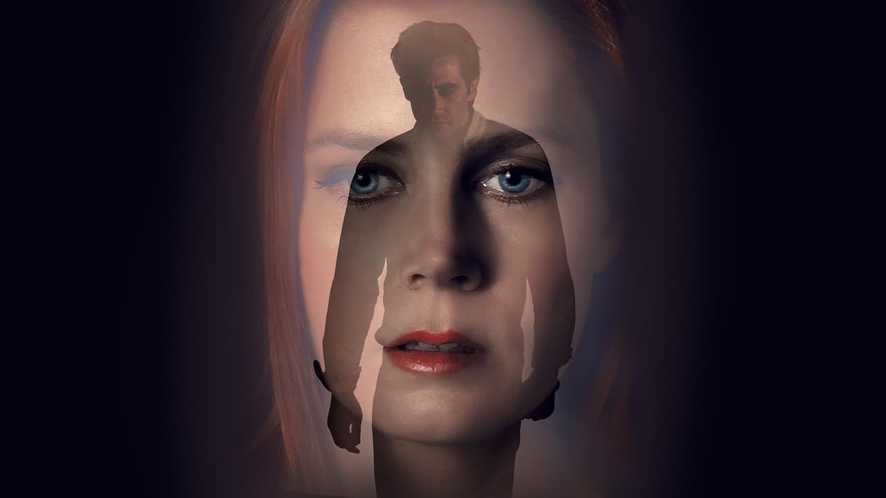 Nocturnal Animals Backdrop Image