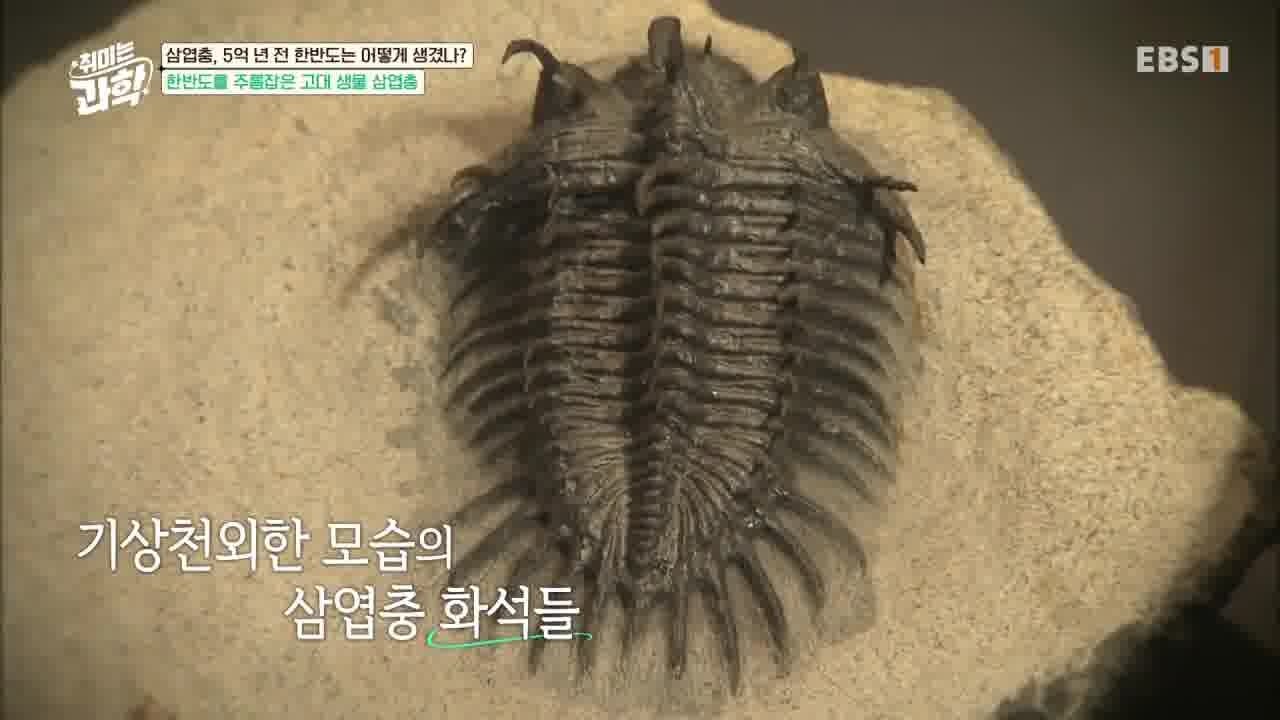 취미는 과학 - Season 1 Episode 10 : Episode 10