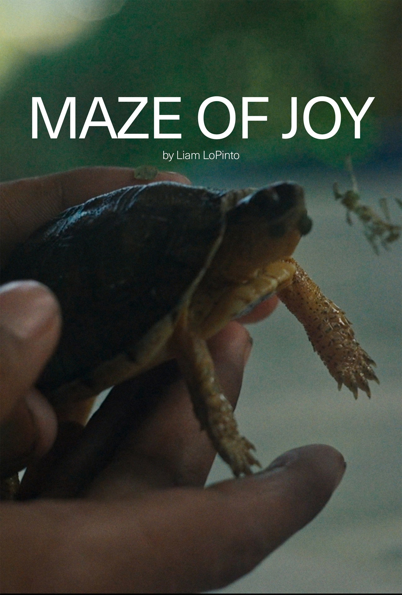 Maze of Joy filmaffisch