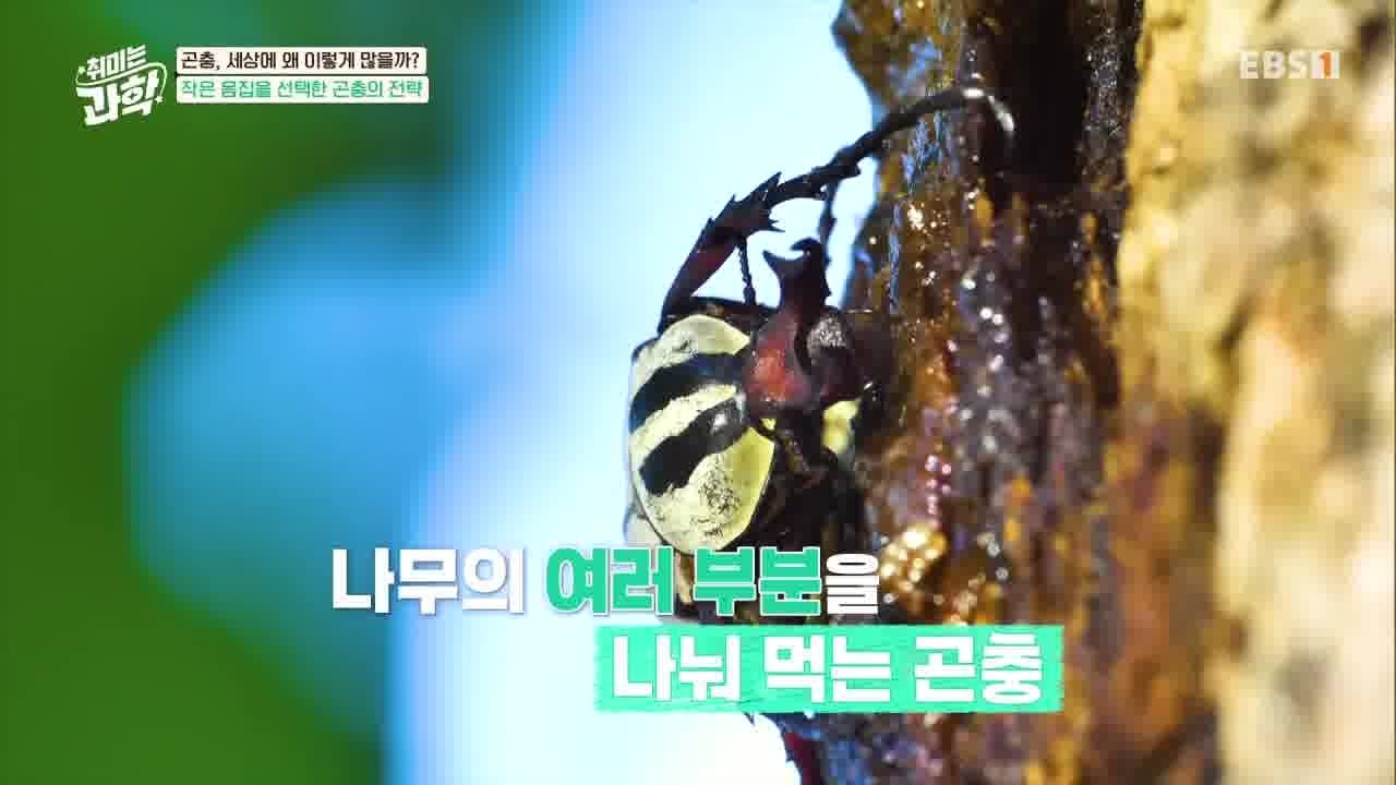 취미는 과학 - Season 1 Episode 9 : Episode 9