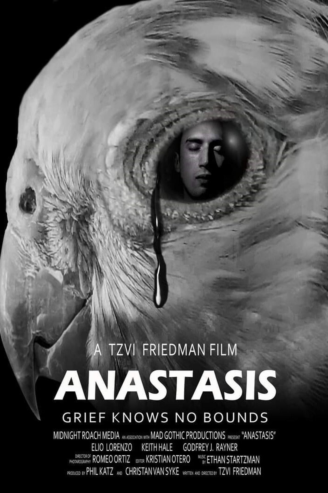Anastasis Anastasis