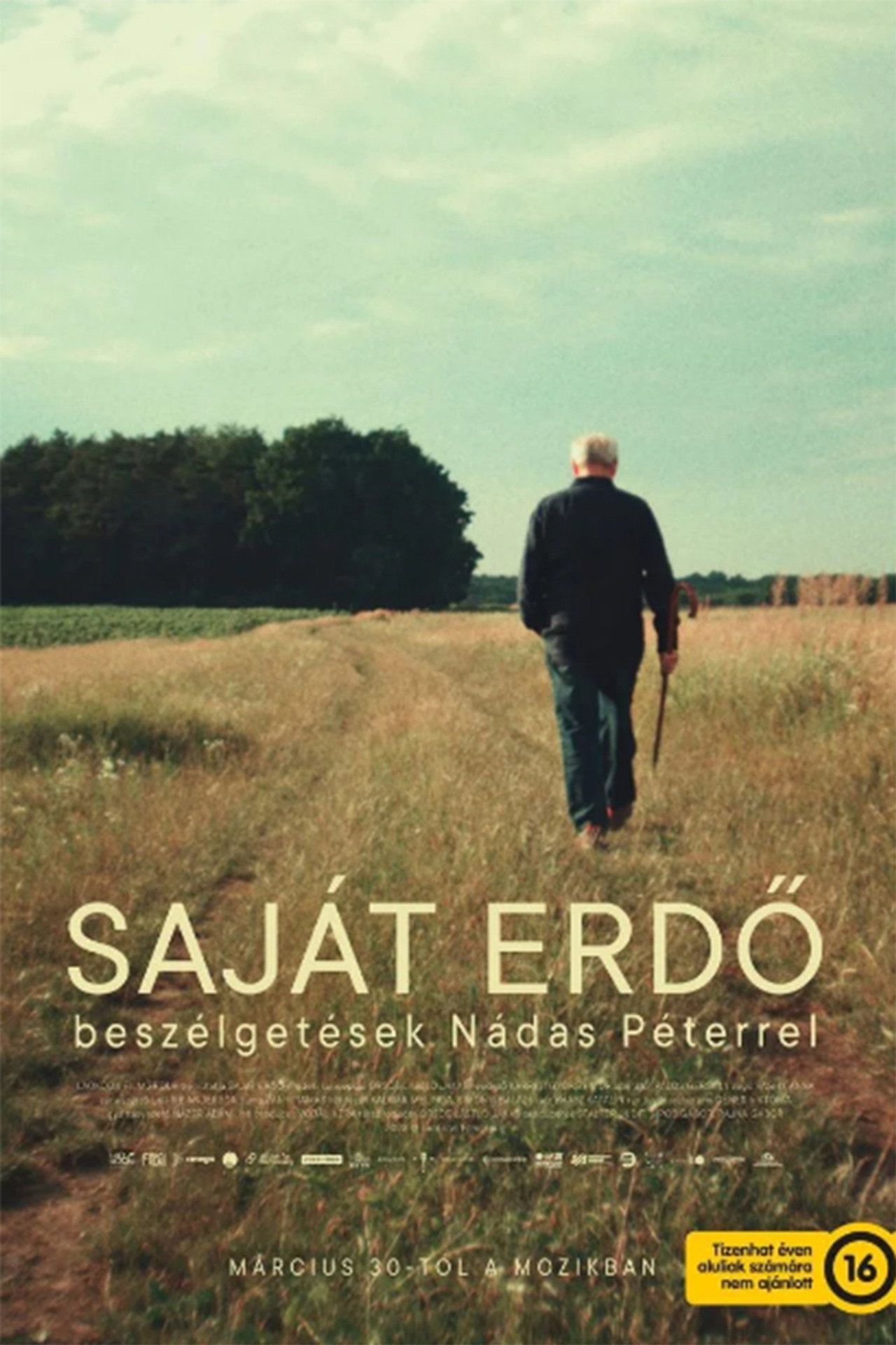 Saját erdő – plakát 6