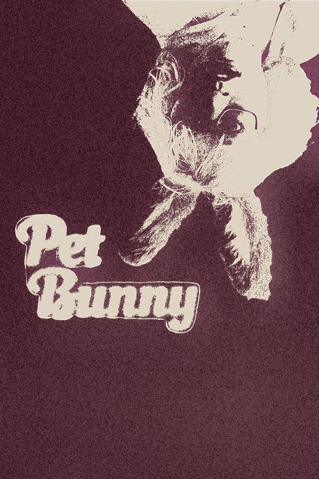 Pet Bunny poster