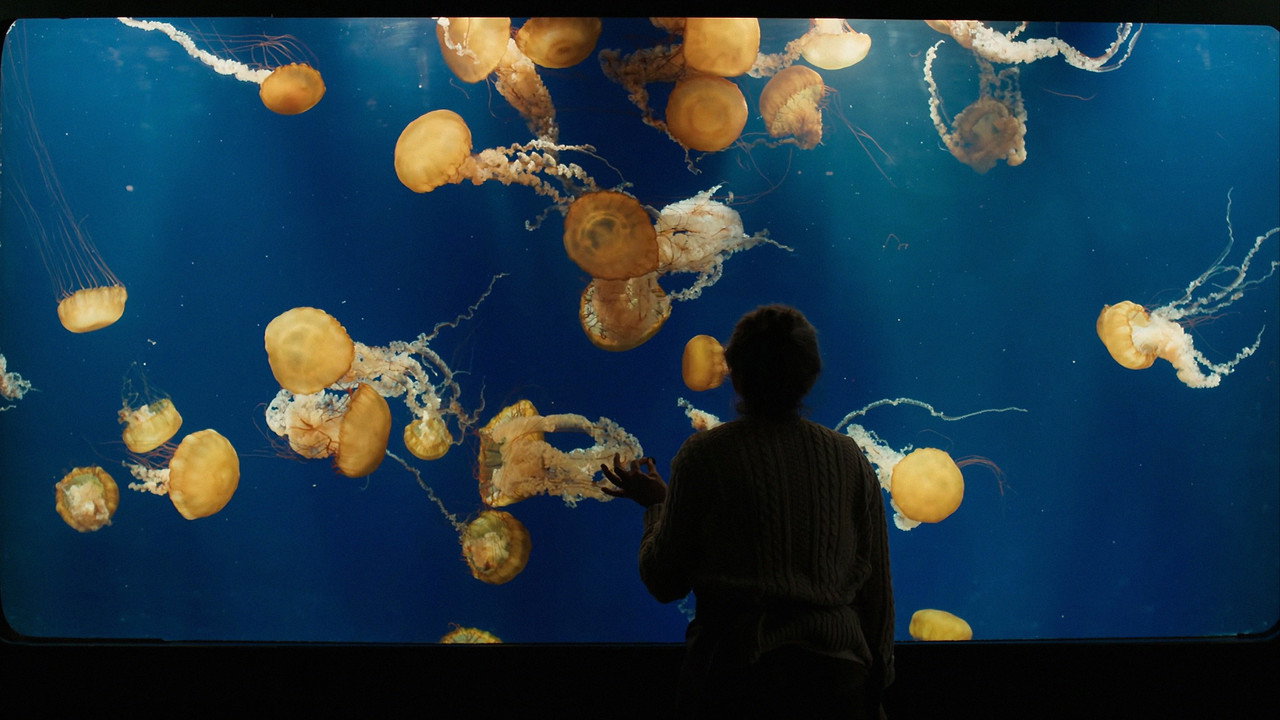Images posters