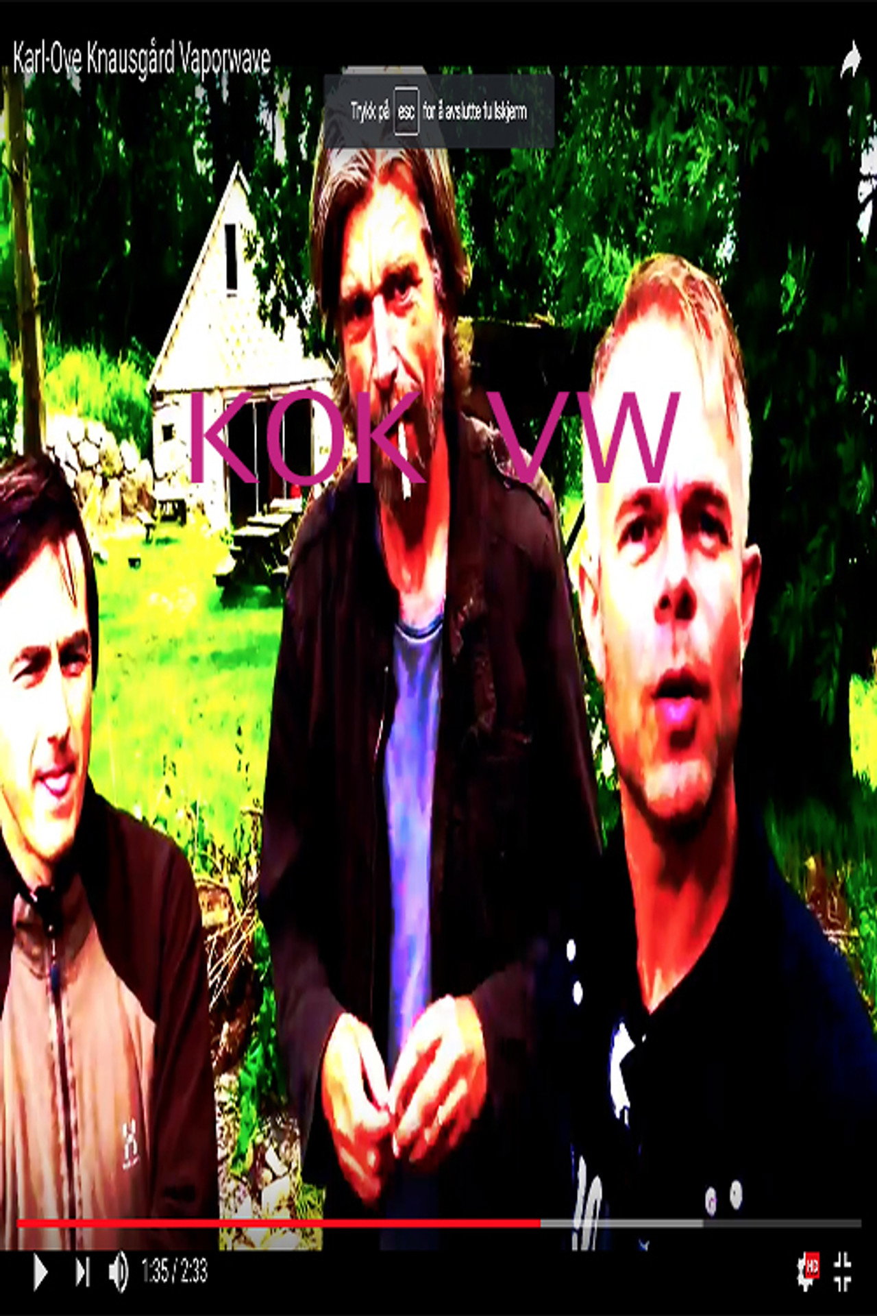 Karl Ove Knausgård Vaporwave Backdrop