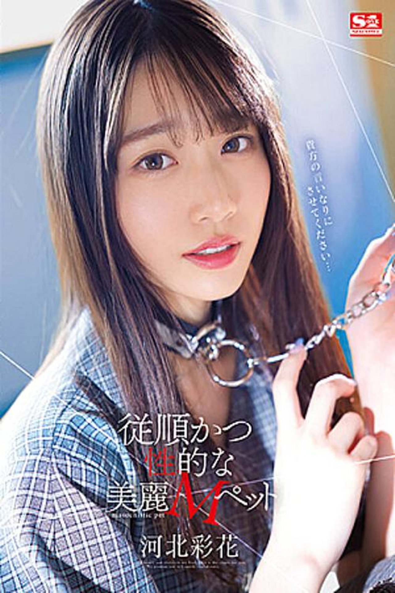 Obedient And Sexual Beautiful M Pet Kawakita Ayaka filmaffisch