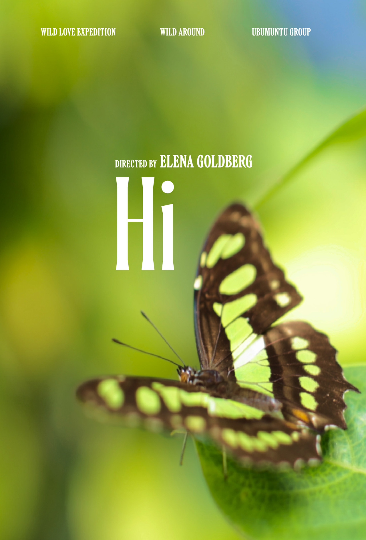 Hi (2025/II) Backdrop