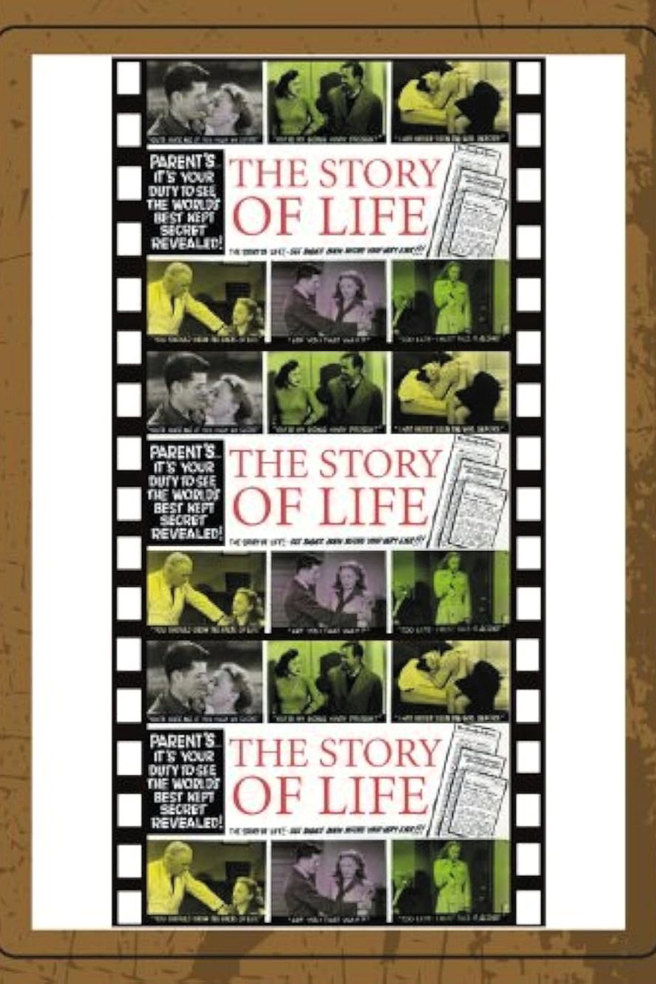 The Story of Life