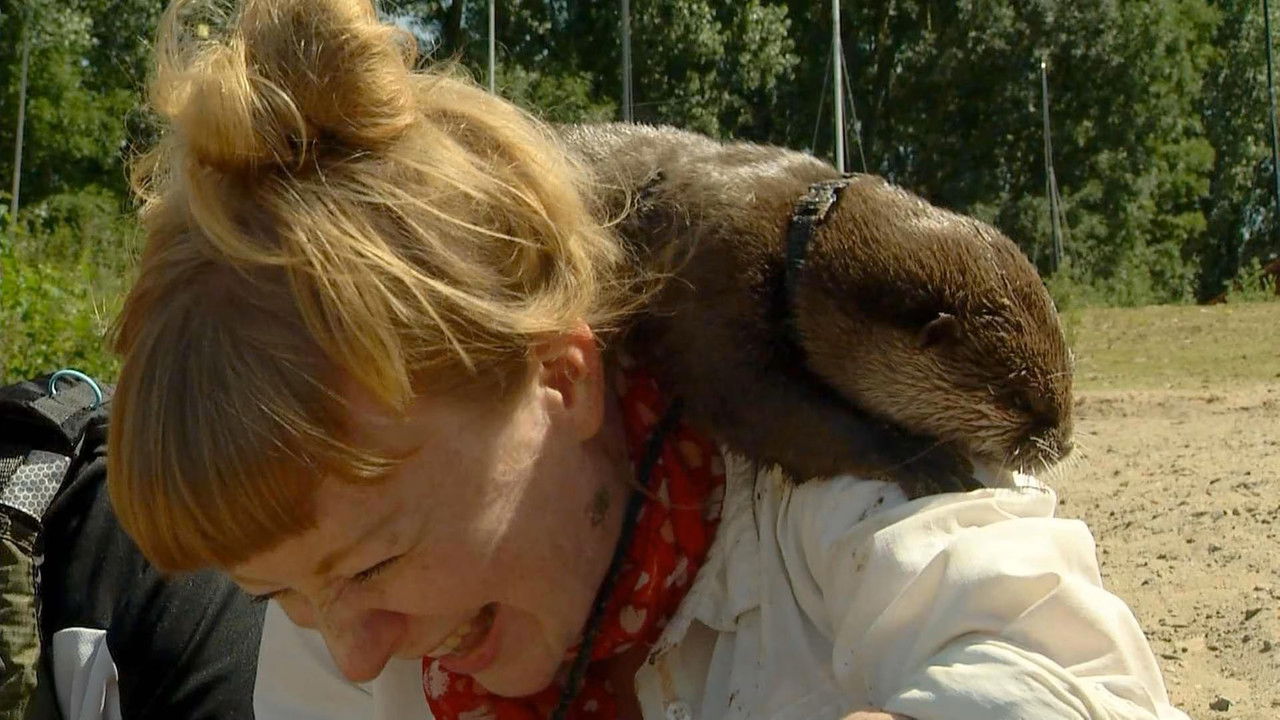 Paula und die wilden Tiere — Épisode 42