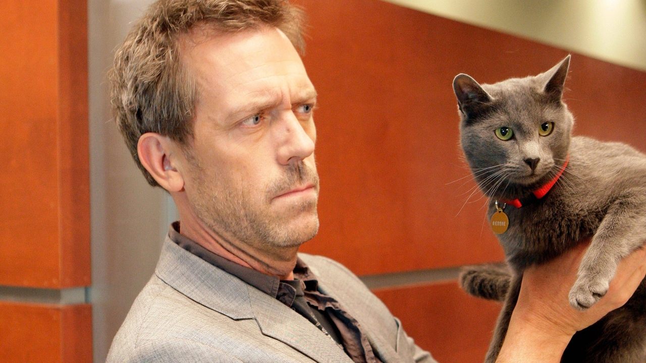 House - Season 5 Episode 18 : Here Kitty