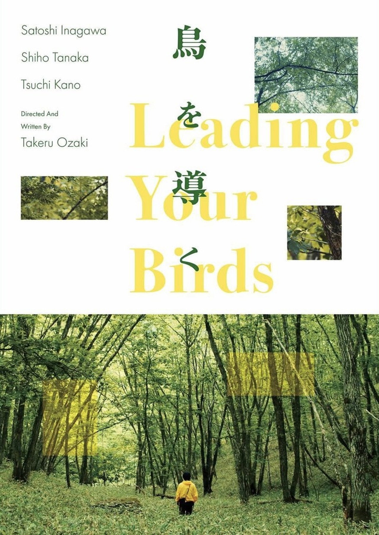 鳥を導く filmaffisch