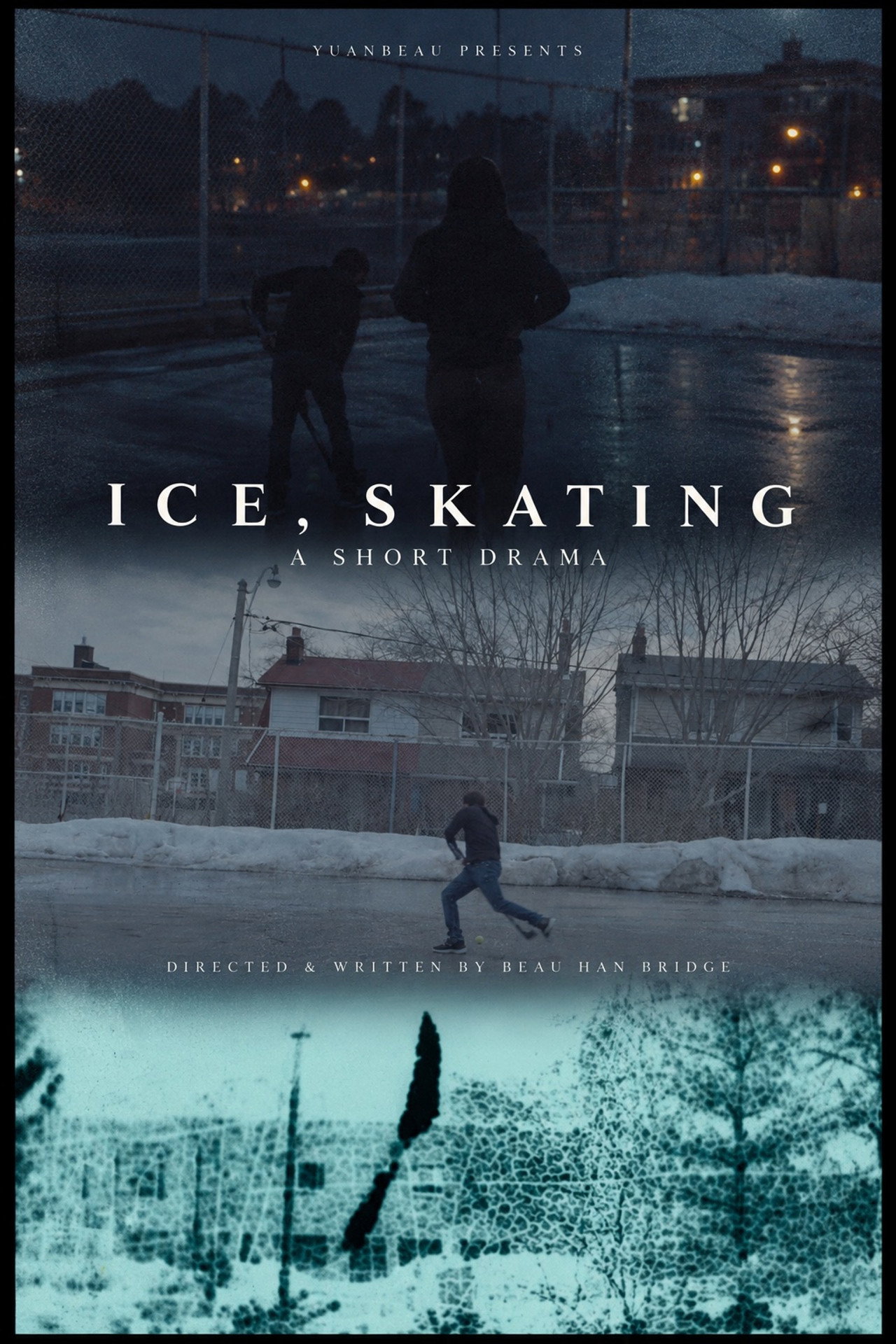 Ice, Skating poster
