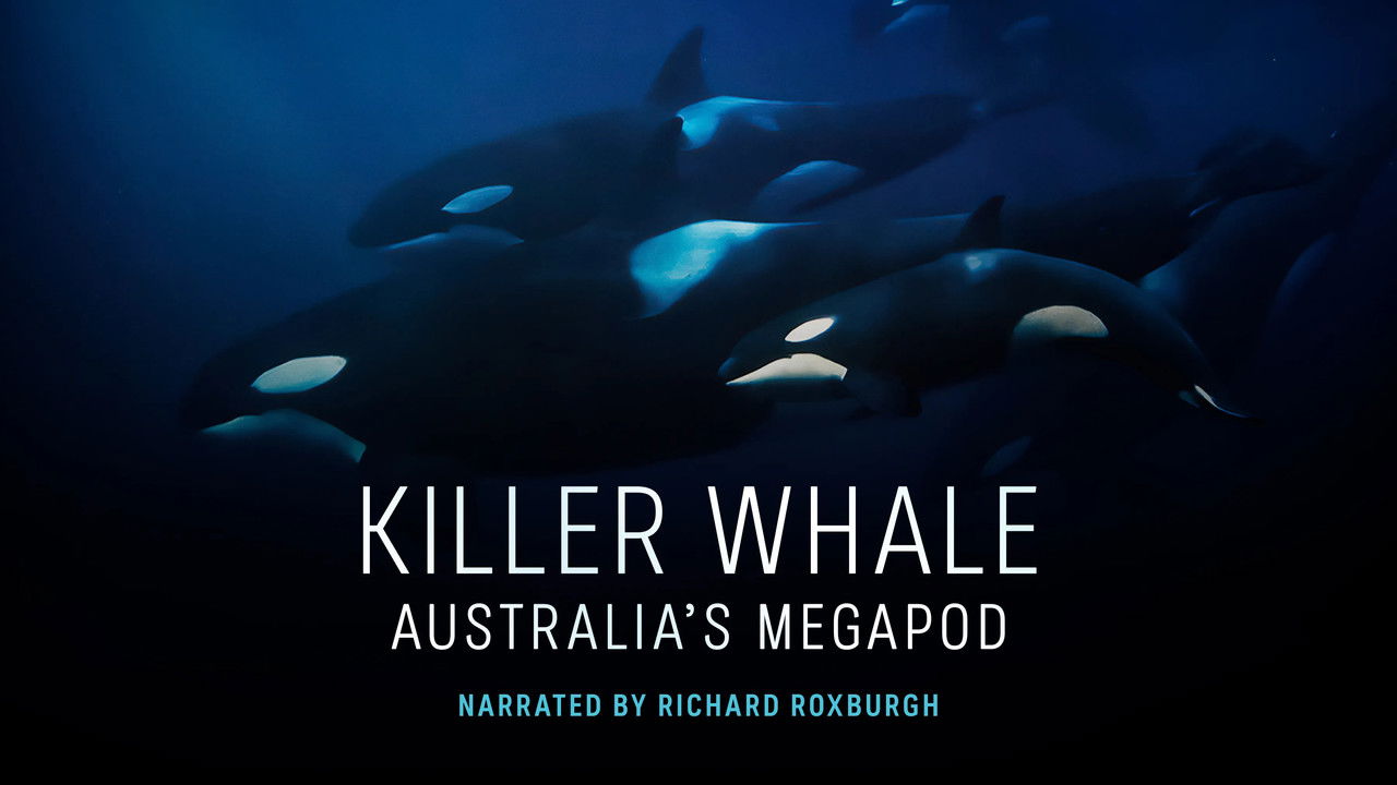 Killer Whale: Australia's Megapod
