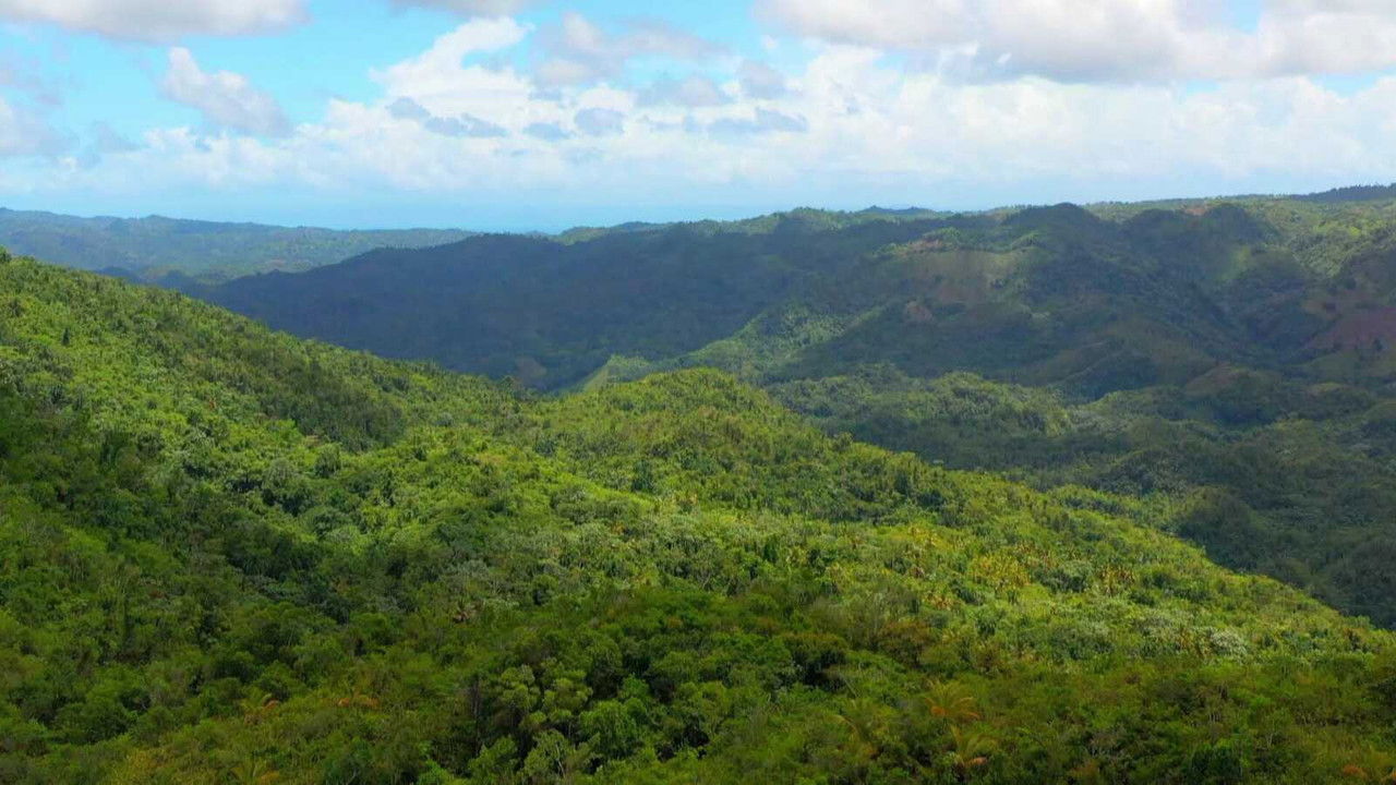 Robinson - Season 21 Episode 32 : Episode 32