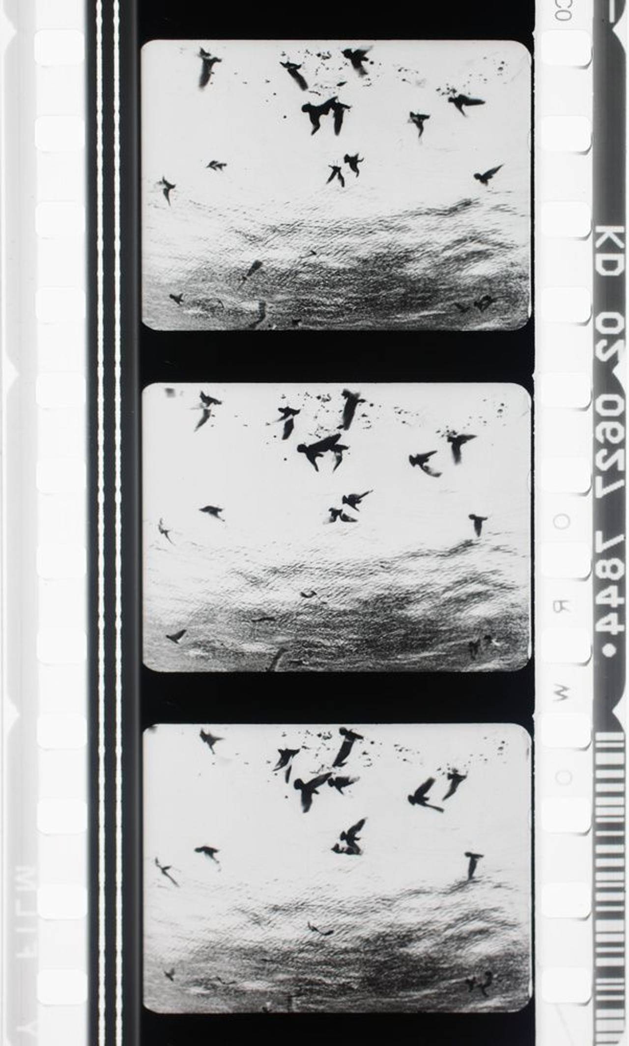 Images en négatif filmaffisch