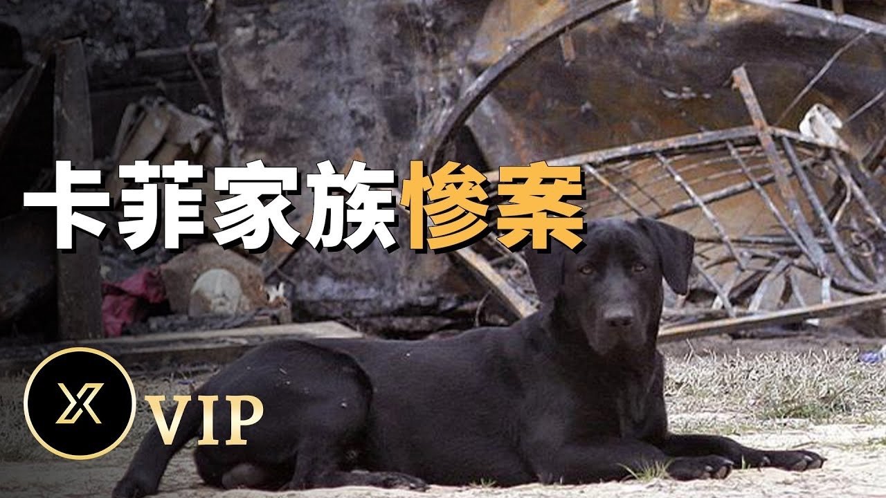 X调查 - Season 0 Episode 36 : Episode 36