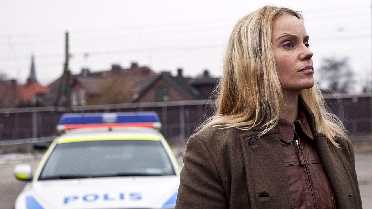 The Bridge - Season 1 Episode 7 : Episode 7