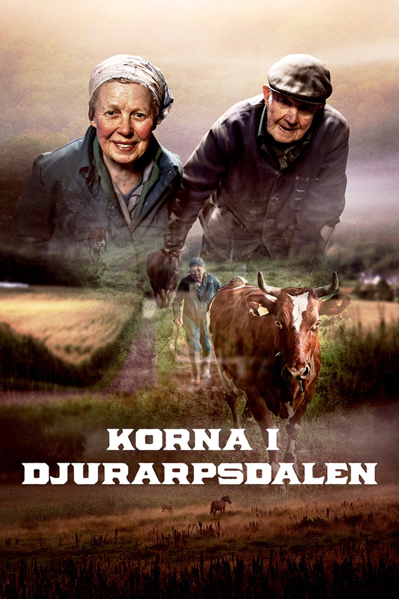 Korna i Djurarpsdalen filmaffisch