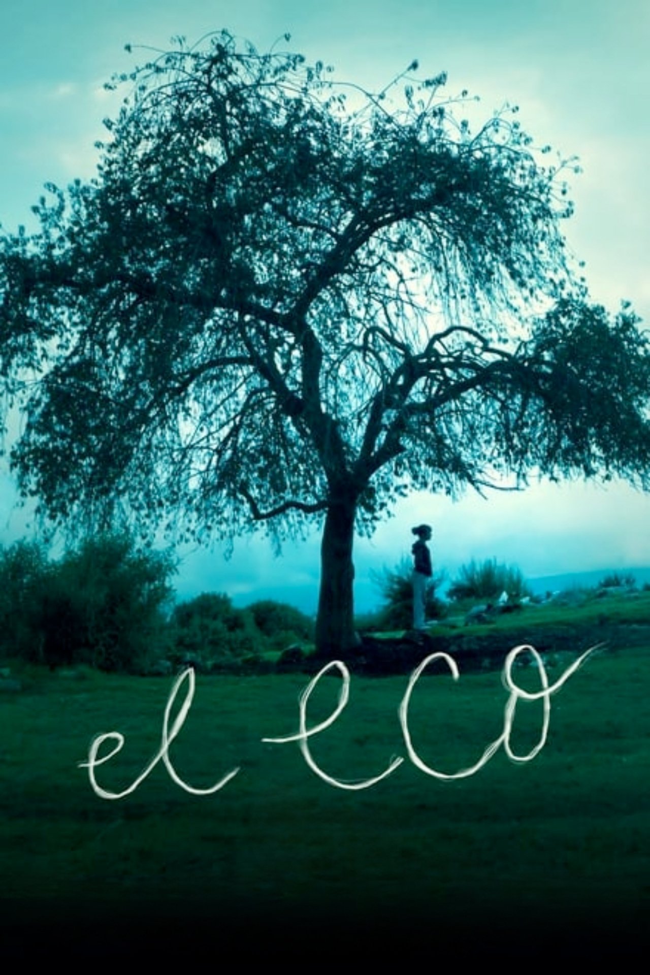L'écho poster