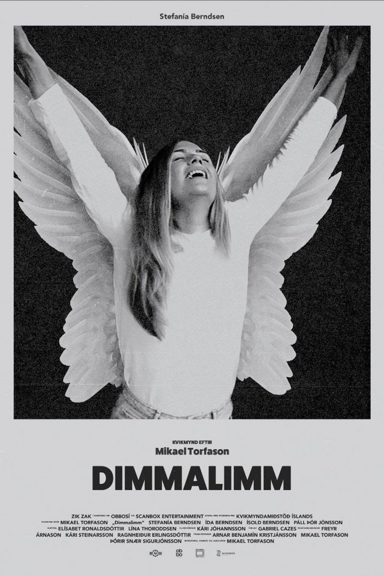 Dimmalimm filmaffisch