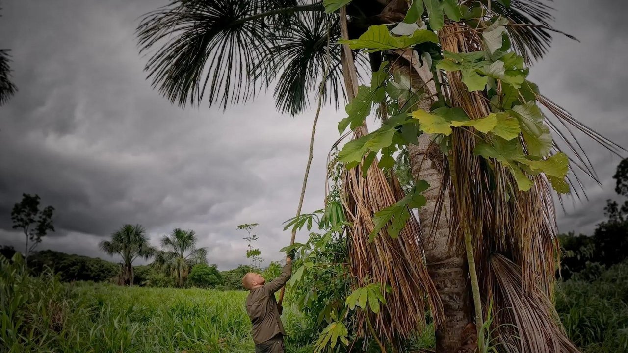 7 vs. Wild - Season 5 Episode 12 : Episode 12